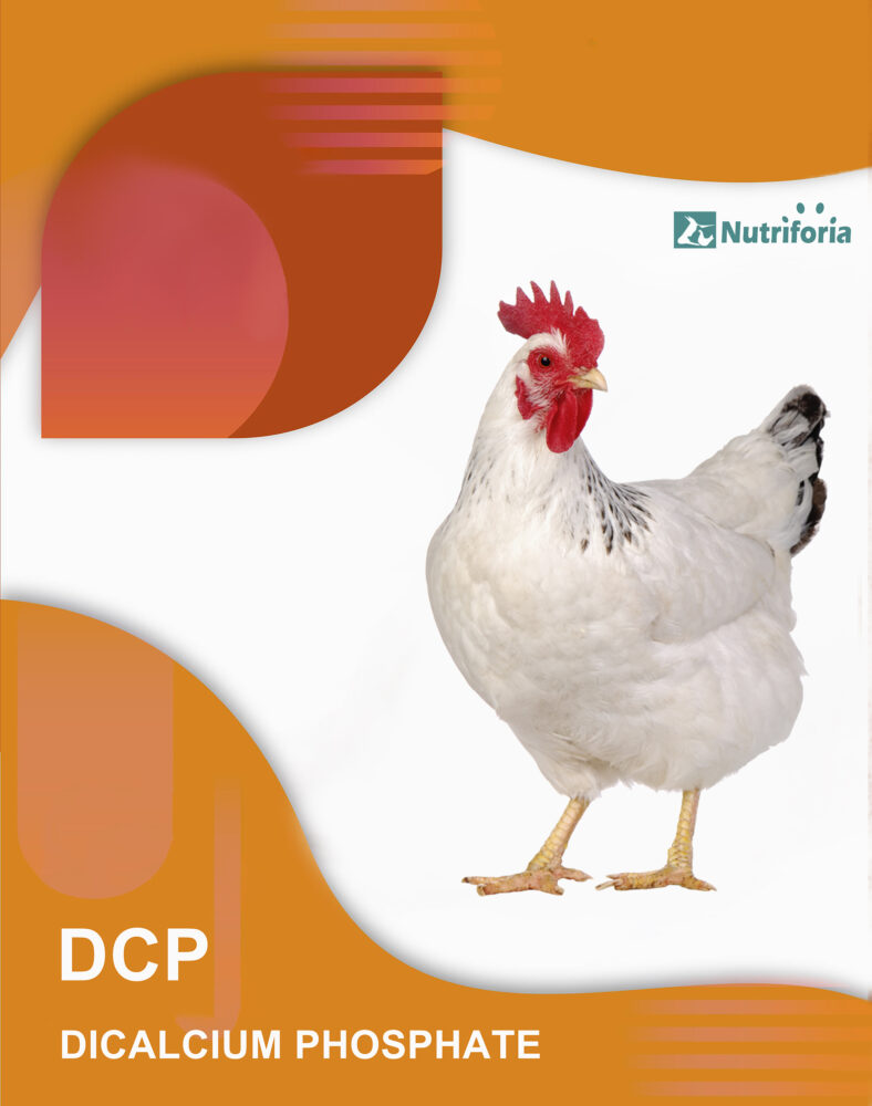 DCP