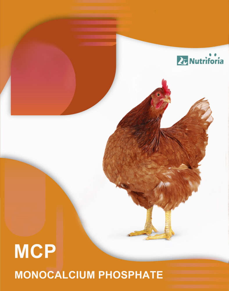 MCP